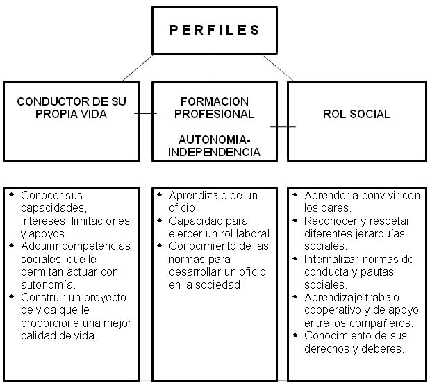 perfiles